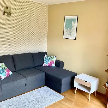 Cozy And Sunny In Historic Pelgulinn Apartment Tallinn